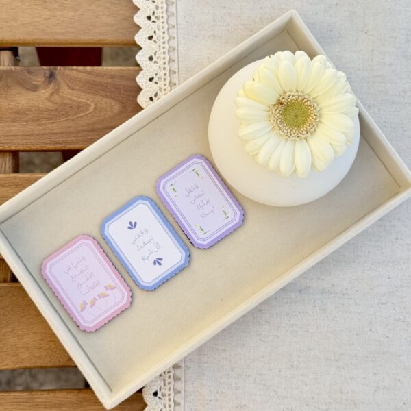 فاصل مغناطيس